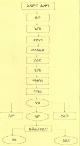 የኢትዮጵያ ታሪክ ከኦሪት (ዘመነፍዳ) እስከ ዘመነ ምህረት (ዓመተ ምህረት)