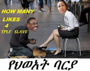 Slave of tplf